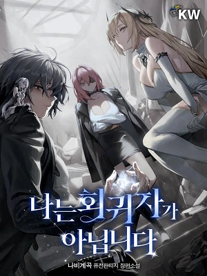 Novel Cover