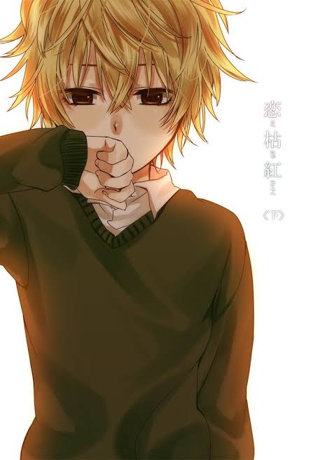 Novel Cover