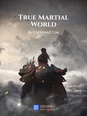 Novel Cover