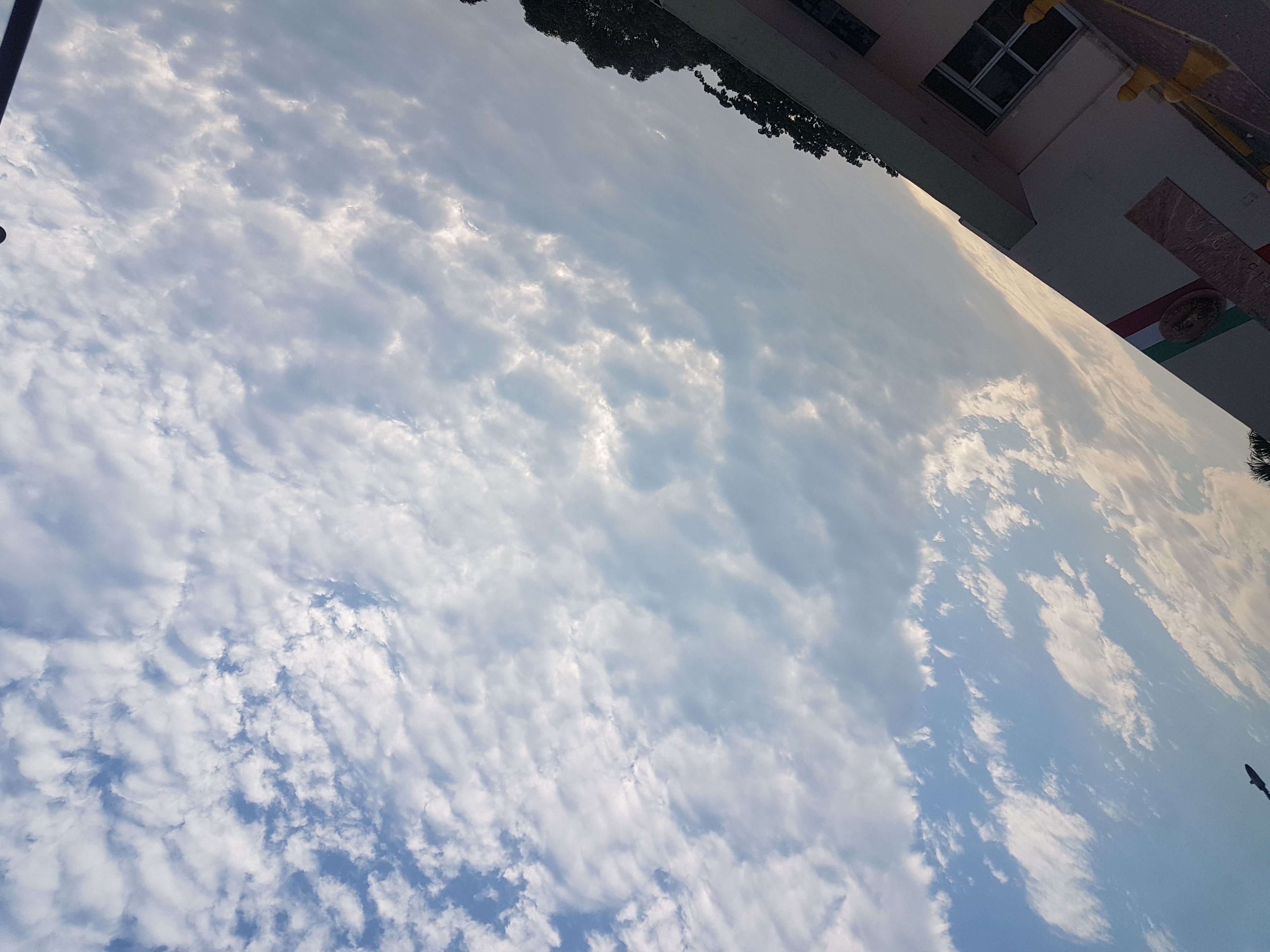 Avatar de JrgDrg36