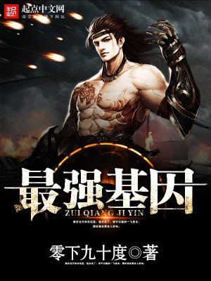 Novel Cover